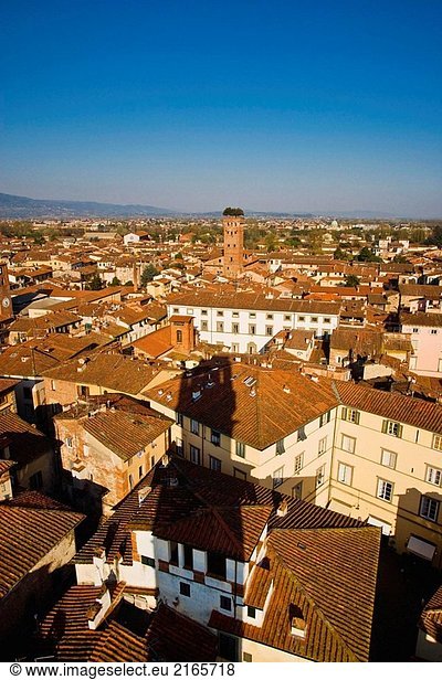 Die Stadt mit der Torre (Turm) Guinigi aus der Torre (Turm) Delle Ore. Lucca. Toskana  Italien