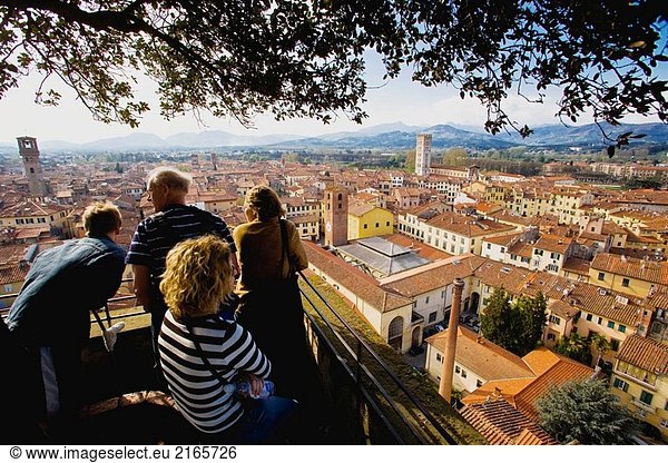 Die Stadt von der Spitze der Torre (Turm) Guinigi. Lucca. Toskana  Italien