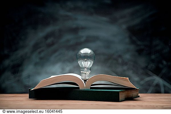 Die Tafel vor dem Buch auf dem Schreibtisch und die Glühbirne