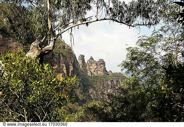 Die Three Sisters  Blue Mountains-Gebiet  Australien. Die Sandsteinformation The Three Sisters  die sich in der Nähe von Katoomba befindet  ist der beliebteste Ort in den Blue Mountains  und mit der beeindruckenden Kulisse des Mount Solitary und des Jamison Valley ist es leicht zu verstehen  warum. Die Legende besagt  dass die drei steinernen Gipfel entstanden  als ein Stammesältester drei Schwestern in Stein verwandelte  um sie vor ihren verbotenen Liebhabern zu schützen  die versuchten  sie zu erobern. Nach seinem unglücklichen Tod war niemand in der Lage  den Zauber rückgängig zu machen  und so stehen die drei Schwestern bis heute an ihrem Platz mit Blick auf das Jamison Valley.