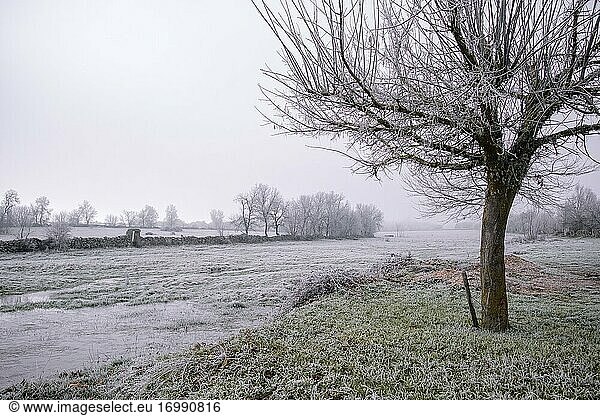 Die von Steinmauern umgebenen Weiden der Hochebene von Mirandese an einem kalten Wintermorgen.