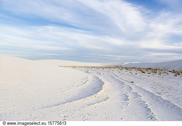 Die weisse Sanddünenlandschaft eines Nationalparks in New Mexico