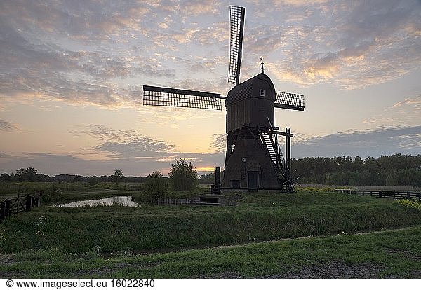 Die Windmühle Noordenveldse Molen  kurz vor Sonnenuntergang gesehen  liegt zwischen den niederländischen Dörfern Dussen und Almkerk in der Provinz Noord-Brabant.