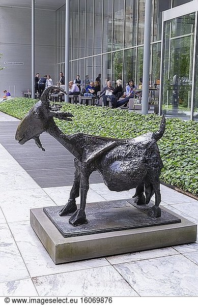 Die Ziege  Pablo Picasso  1950  Skulpturengarten  MOMA  Manhattan  New York City  USA  Nordamerika.