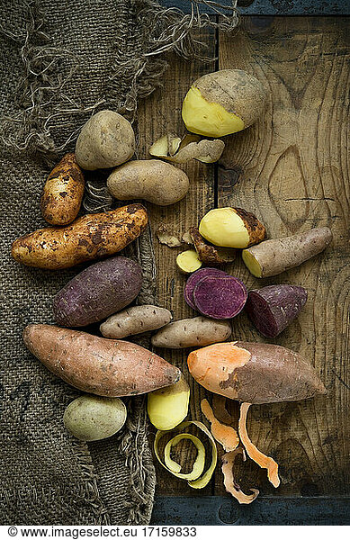 Different types of potatoes: Glorietta  purple sweet potato  Agria  Annabelle  Bamberger Hoerndl  Gala on rustic background