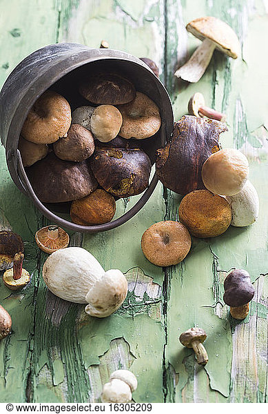 Different wild mushrooms on wooden table