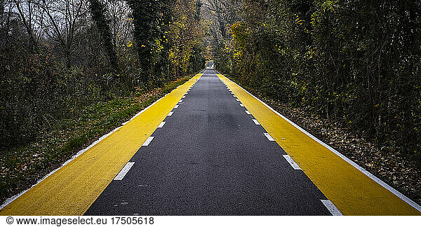 Diminishing perspective of asphalt road cutting through autumn forest