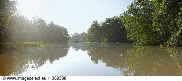 Diminishing view of river  Orinoco River  Orinoco Delta  Venezuela