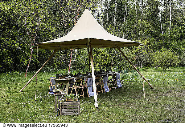 Dining table and chairs under a canopy for a woodland naming ceremony.
