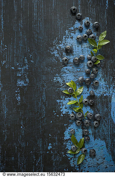 Directly above shot of blueberries with herbs on table