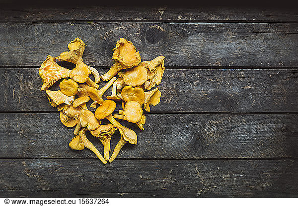 Directly above shot of Chanterelle mushrooms arranged in heart shape on table