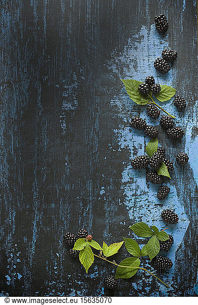 Directly above shot of herbs with blackberries on table