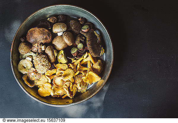 Directly above shot of various mushrooms in container on table
