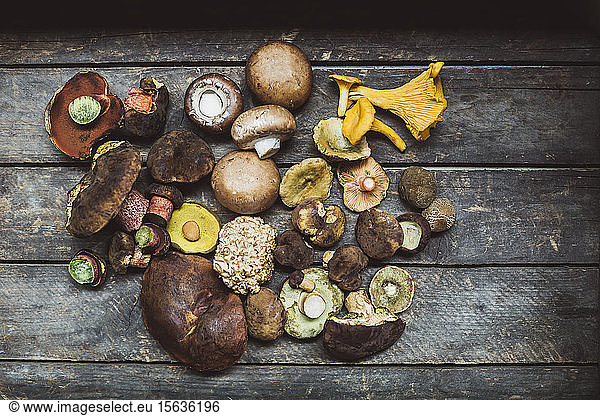 Directly above shot of various mushrooms on wooden table