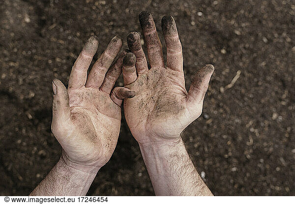 Dirty hands on mature man over soil