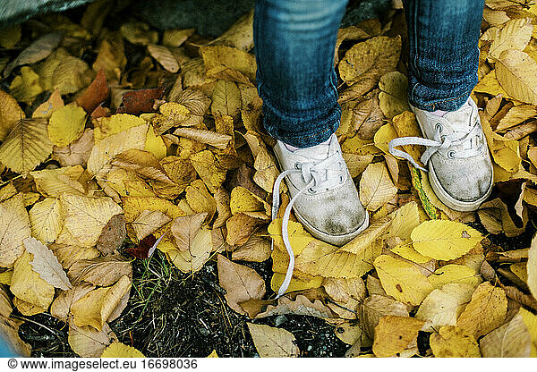 Dirty white untied toddler shoes in yellow leaves in fall