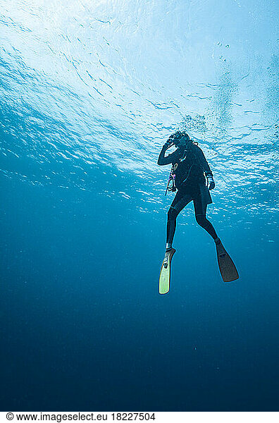 diver ascending to the surface in the South Andaman Sea