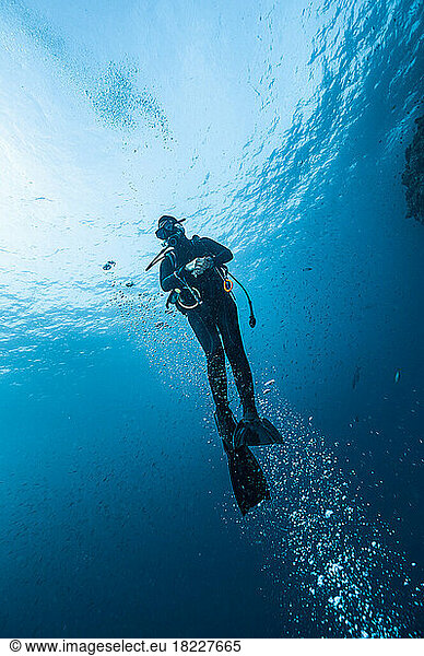 diver ascending to the surface in the South Andaman Sea