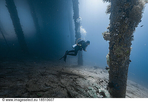 diver examining the wildlife below a jetty in the Banda sea