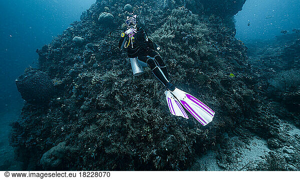 diver exploring a coral reef in the South Andaman Sea / Thailand