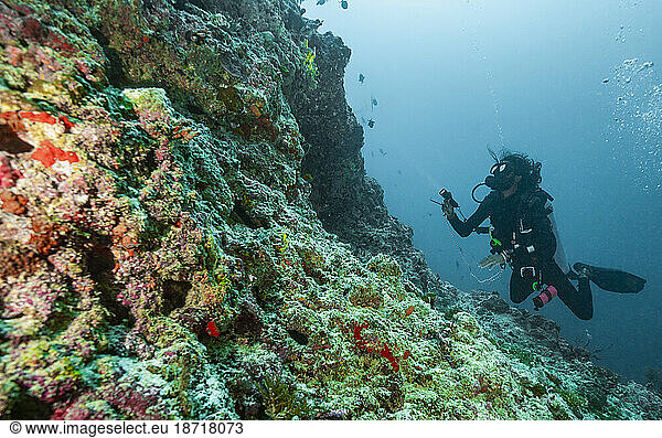 diver exploring reef in the Maldives