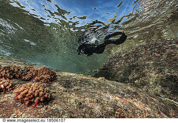 diver exploring rocky shore in the clear water of the Gulf of Thailand