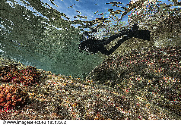 diver exploring rocky shore in the clear water of the Gulf of Thailand