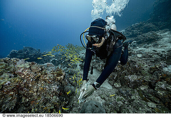 diver exploring the clear water of the Andaman Sea / Thailand