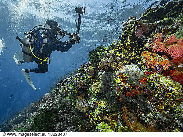 Diver exploring the coral reefs at Komodo / Indonesia