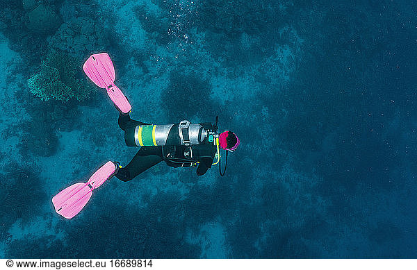 diver exploring the great Barrier Reef