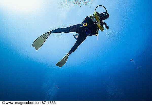 diver exploring the Indian Ocean at the Maldives