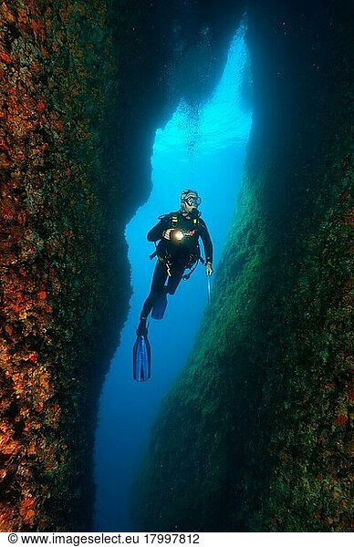 Diver in narrow crevice  crevice  gorge  canyon  reef  Islas Margaritas  rocky island  Ibiza  Balearic Islands  Balearic Islands  Spain  Europe  Mediterranean Sea  Europe