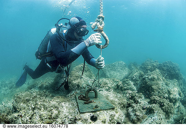 Diver installing a mooring line on an ecological anchor  in the Marine Protected Area of the Agathoise Coast  Herault  Occitanie  France). Anchorage and Light Equipment Zone (ZMEL)