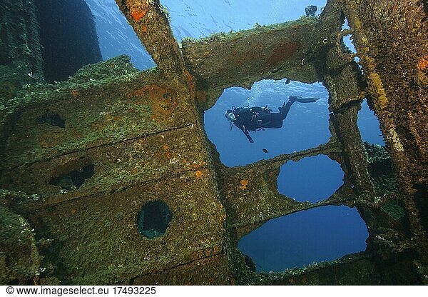 Diver looking into interior of sunken ship decaying rusting shipwreck Elviscot  Scoglio dell' Ogliera  Pomonte  Elba  Tuscany  Italy  Europe