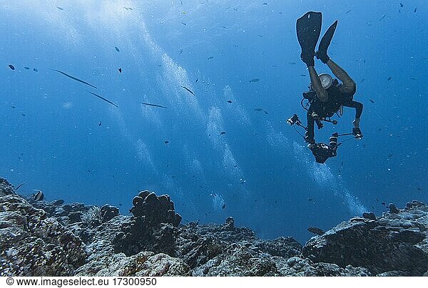 diver with uw camera descending into the blue at Similan Islands
