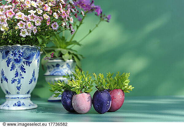DIY decoration of boxwood seedlings planted in Easter eggs