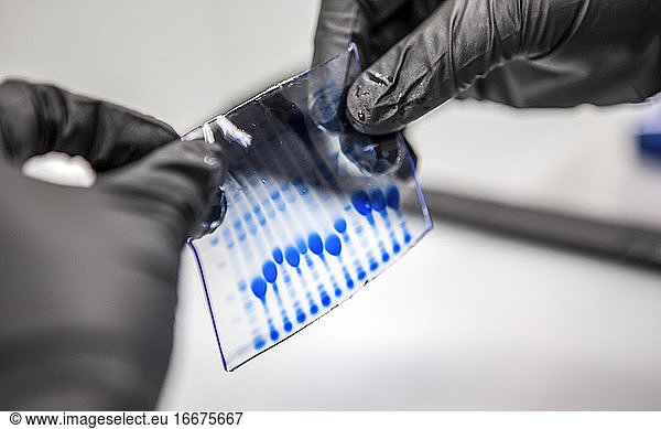 DNA-Proben für die biowissenschaftliche Forschung