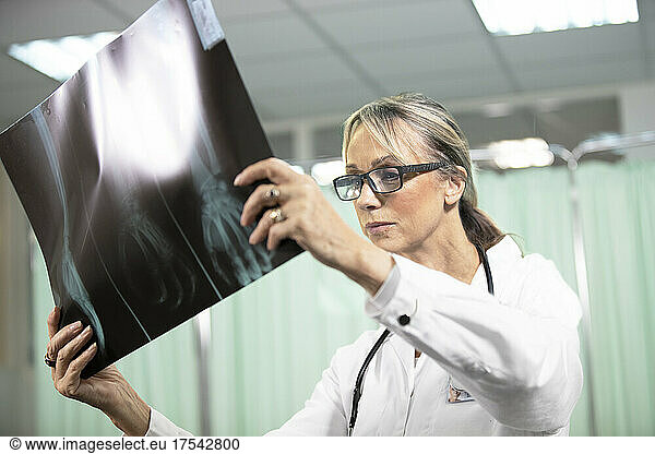 Doctor analyzing X-ray in medical room