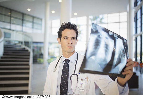 Doctor viewing chest x-rays in hospital