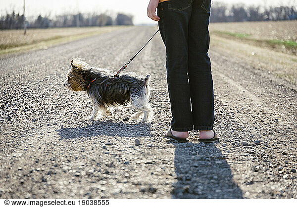 Dog and boy standing on a gravel road out in nature.