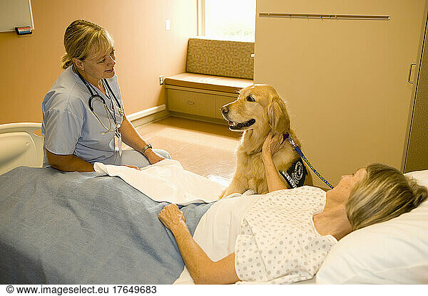 Dog assisted therapy for patient in hospital