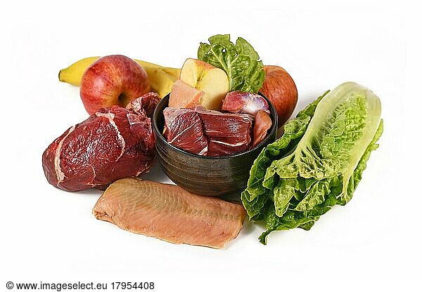 Dog bowl filled with biologically appropriate raw food containing meat chunks  fish  fruits and vegetables surrounded by ingredients on white background
