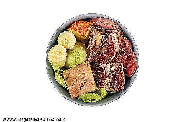 Dog bowl with species appropriated raw food like chunks of raw meat  fish  vegetables and fruits on white background