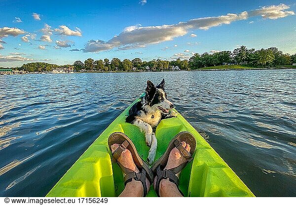 Dog in Kayak Middle River Maryland.