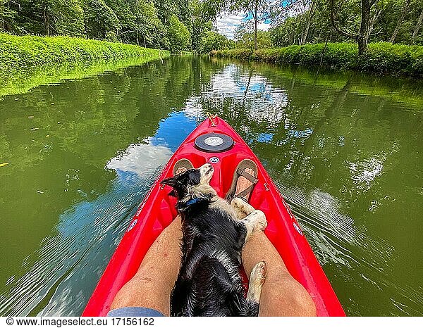 Dog in Kayak on Deer Creek  Harford County.