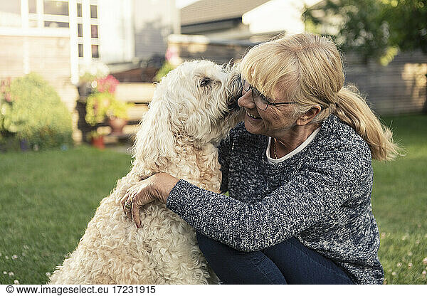 Dog kissing blond woman in front yard
