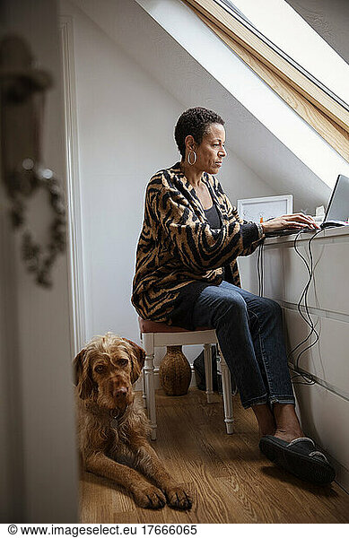 Dog laying next to woman working from home at laptop