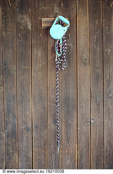 Dog leads hanging on pin at wall
