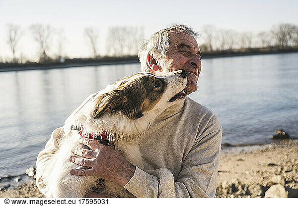 Dog licking senior man's face at beach