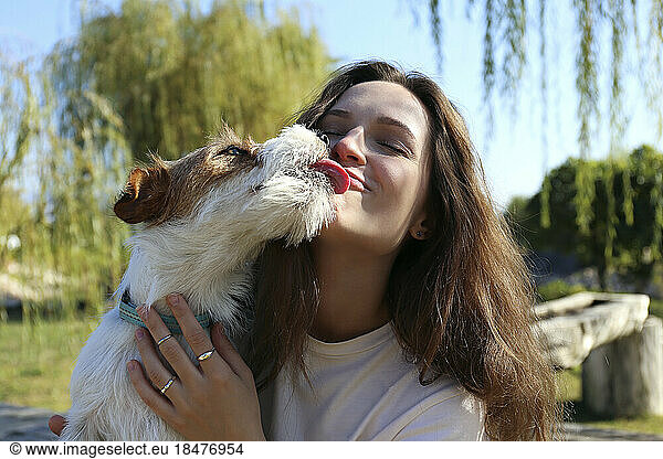 Dog licking young woman in park on sunny day